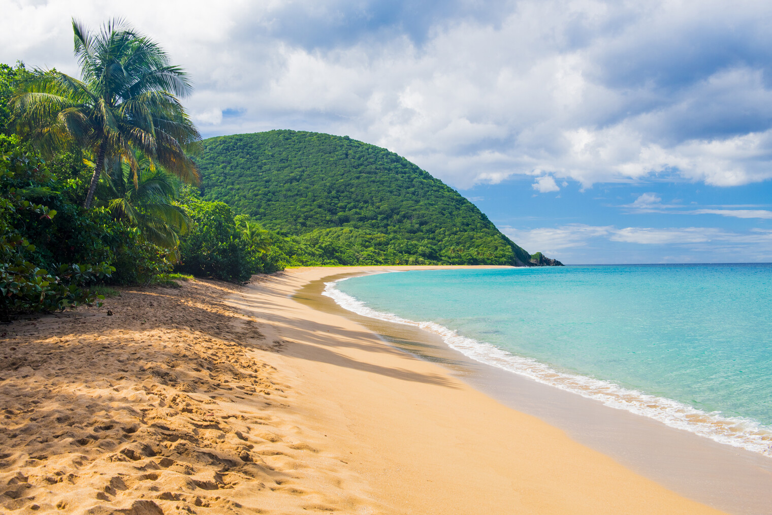 Plage de Grand Anse près du village de Deshaies en Guadeloupe