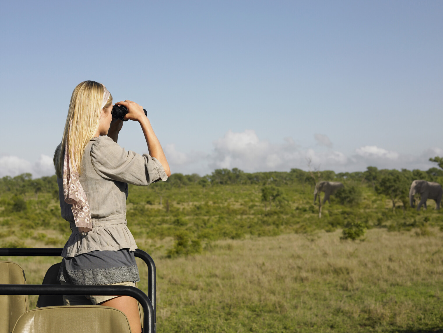 Une femme en train de regarder aux jumelles des éléphants lors d'un safari