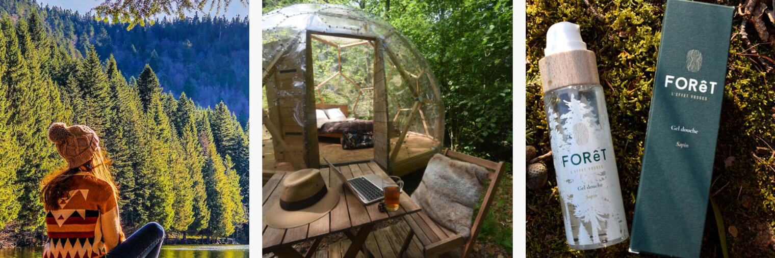 Fôret des Vosges, hébergement l'effet Vosges, cosmétique des Vosges
