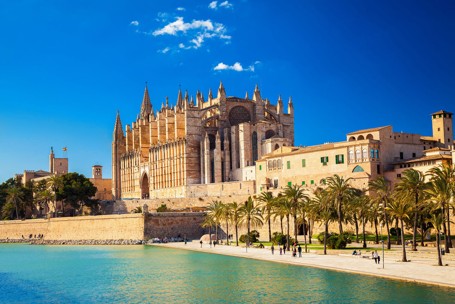 Cathédrale de Palma