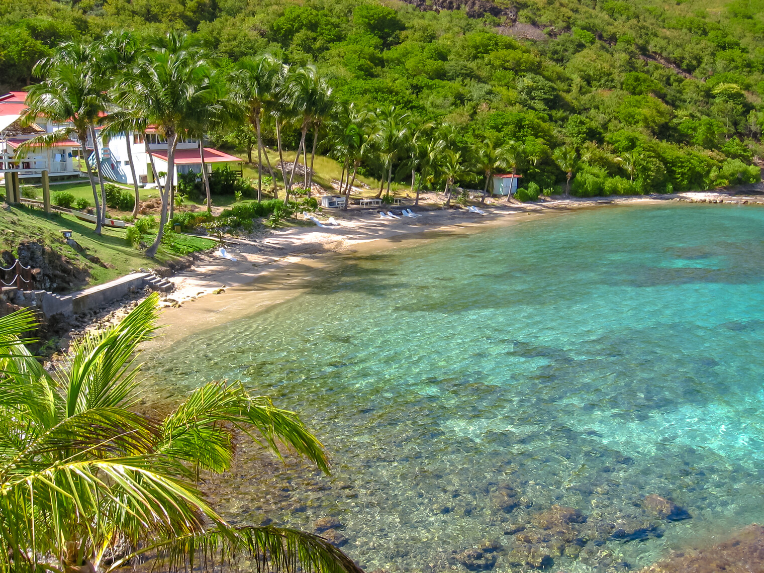 Plage de Pain de Sucre dans l'archipel des Saintes en Guadeloupe