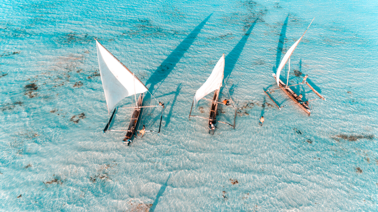 Vue aérienne sur des bateaux typiques de Zanzibar au beau milieu d'eaux turquoise