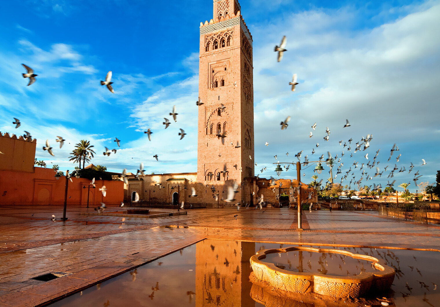 Une vue sur la tour de la Koutoubia à Marrakech