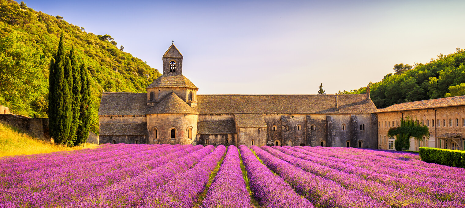 Abbaye de Senanque en fond et champ de lavande, dans le Lubéron en France