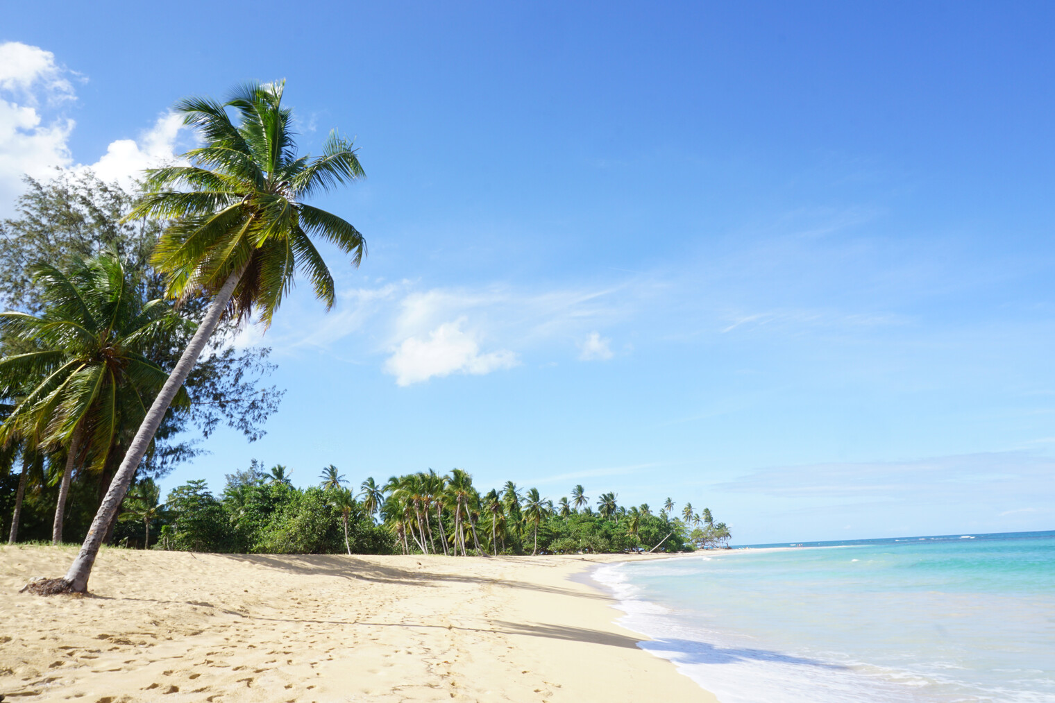 Une plage paradisiaque de République Dominicaine