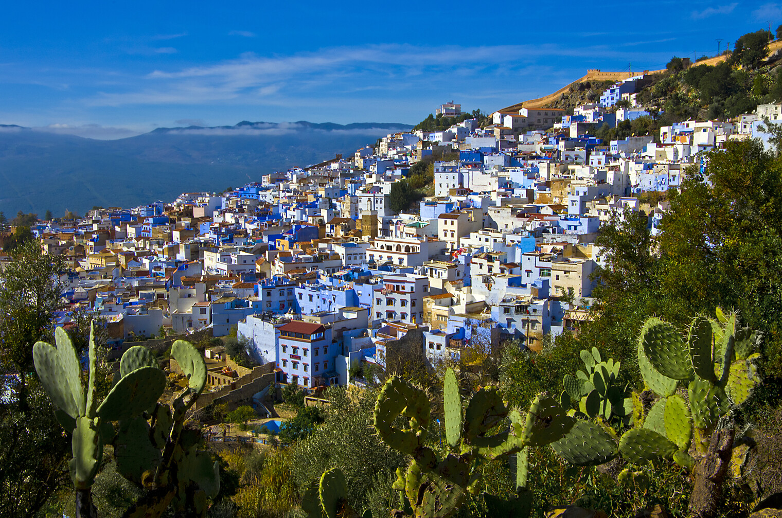 Vue sur la ville bleue de Chefchaouen au Maroc