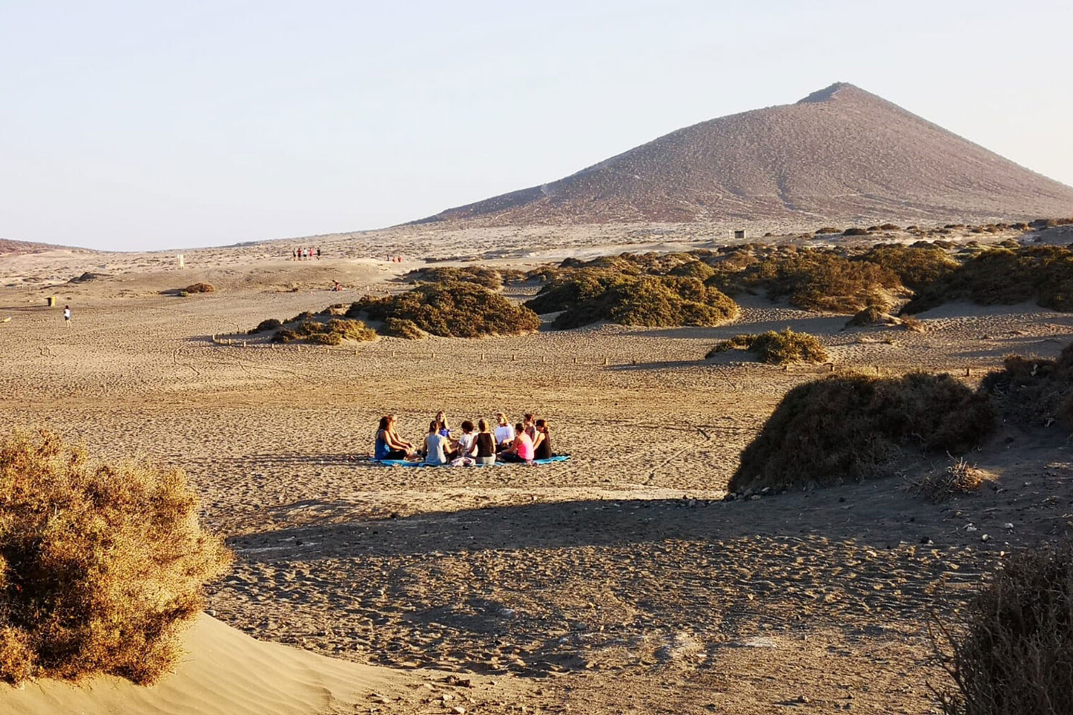 ensemble au milieu des dunes
