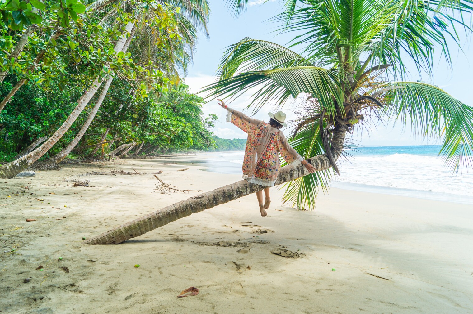 Une femme de dos sur un cocotier sur une plage désertique du Costa Rica
