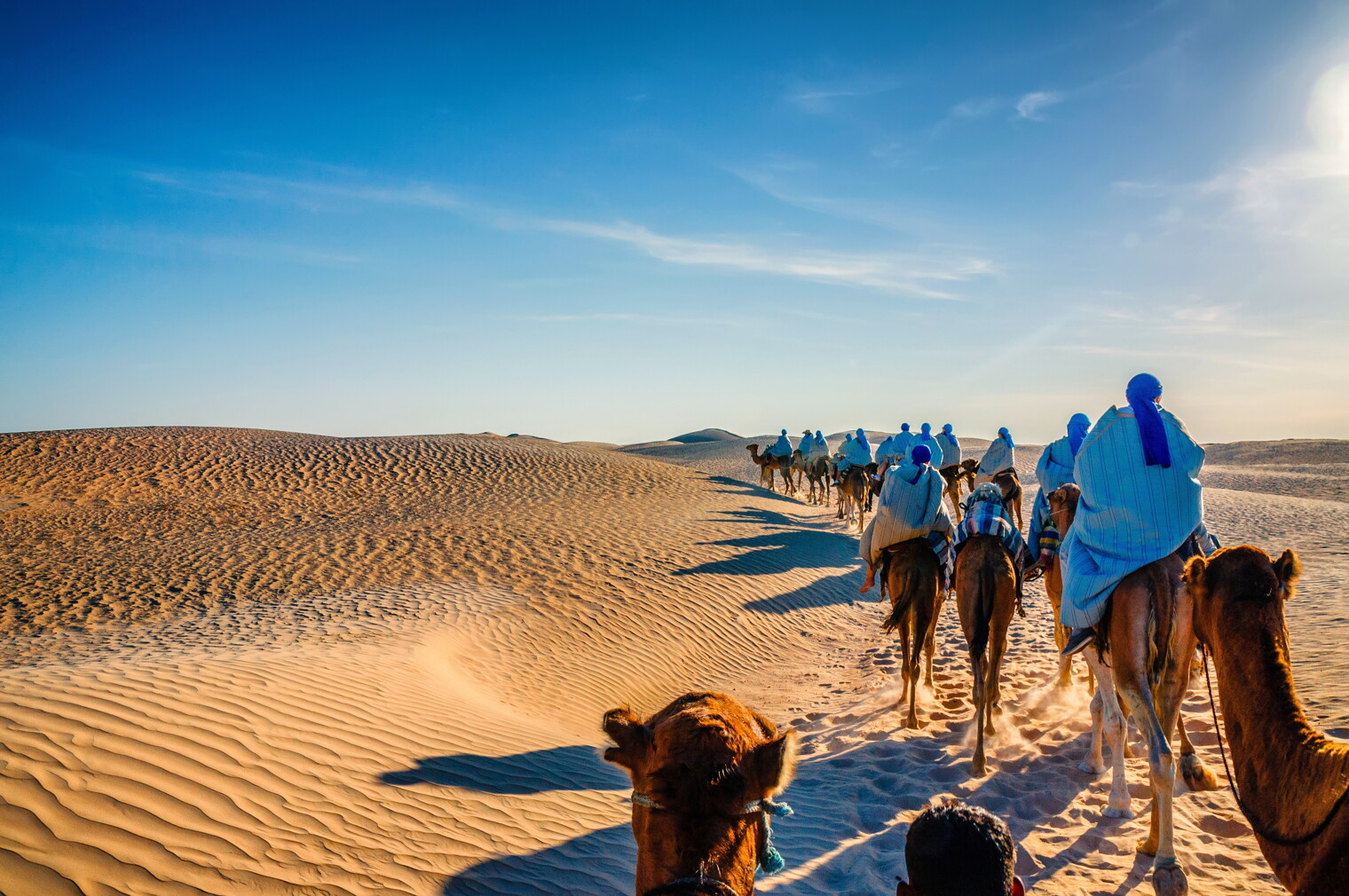 Caravane de dromadaires dans le désert de Tunisie