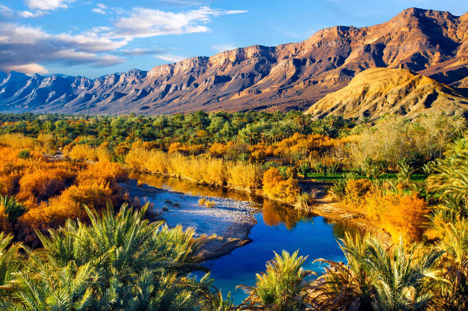 Oasis au milieu du désert marocain