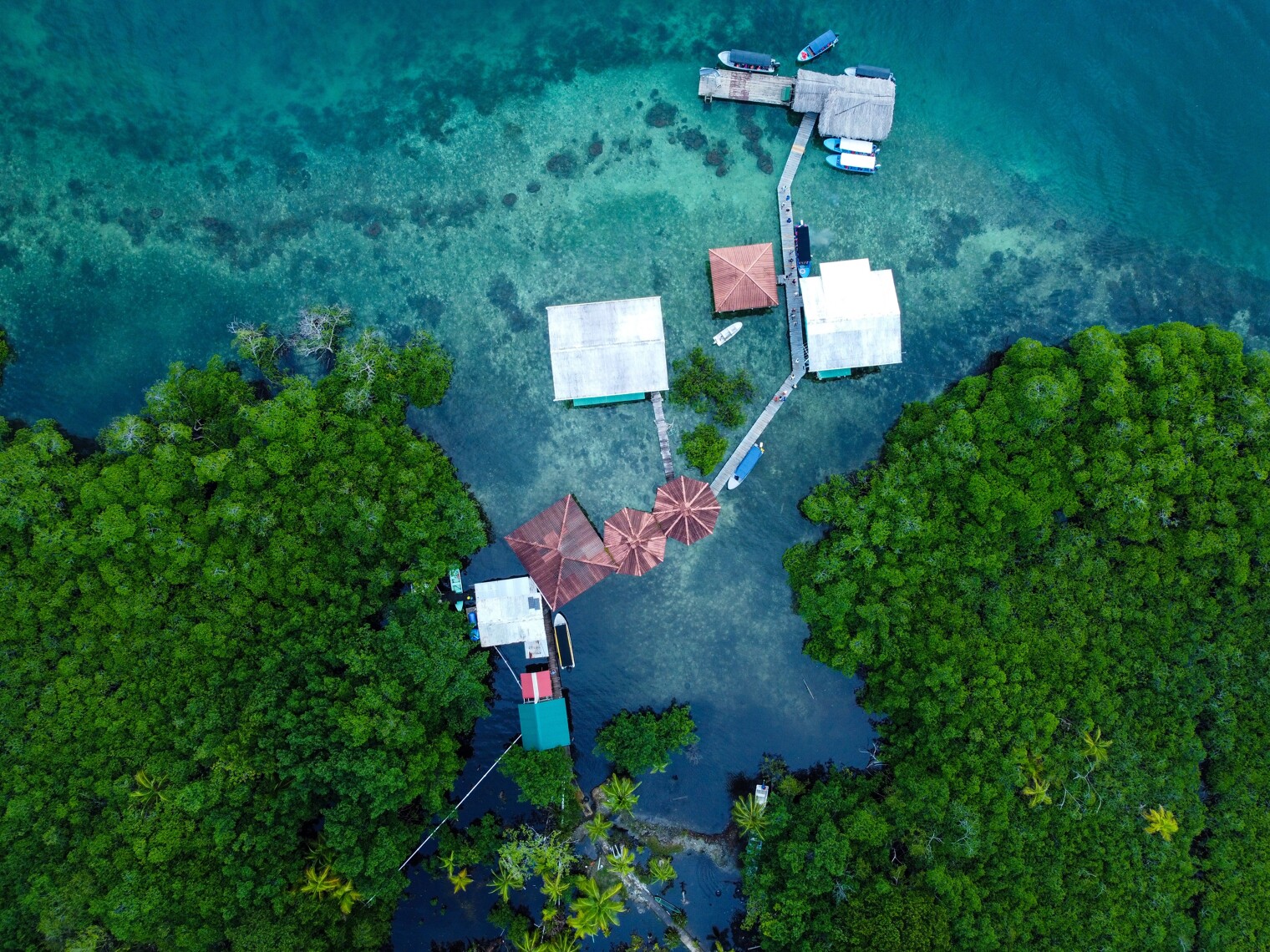 Vue aérienne sur le parc national Isla Batismento au Panama