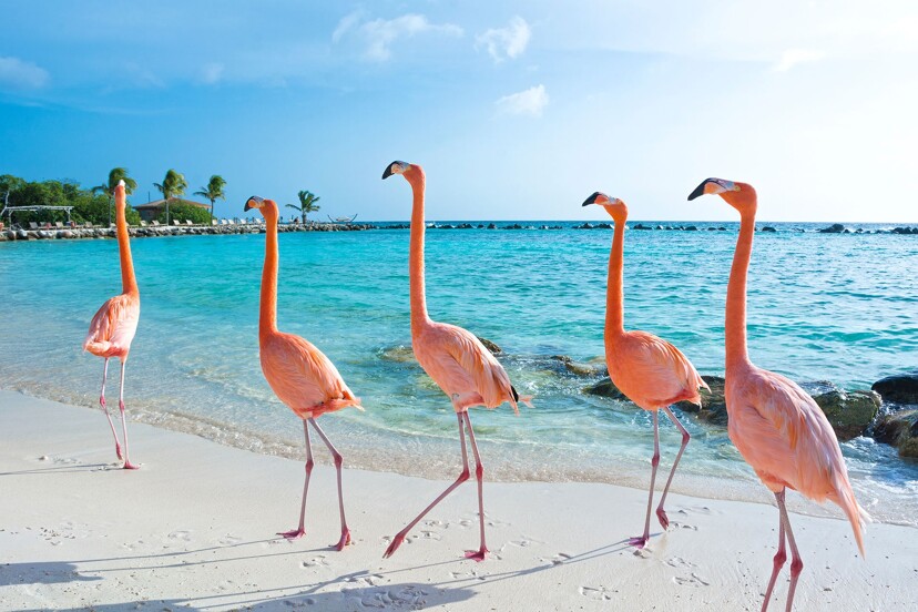 Choisir un voyage dernières minutes en all inclusive