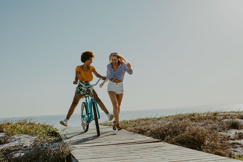 Compagnons de voyage