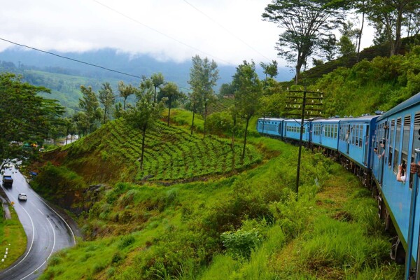 circuit coup de cœur au Sri Lanka