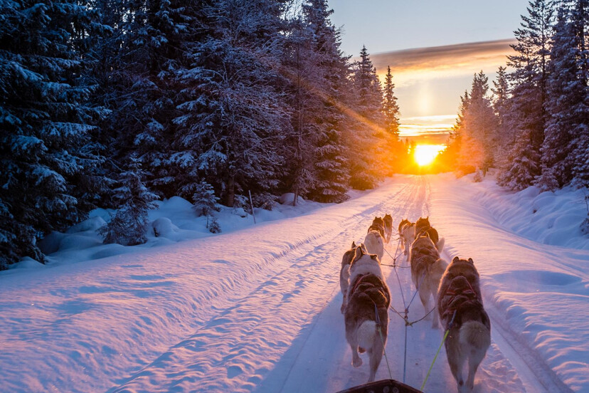 Balade en traineau, couché de soleil
