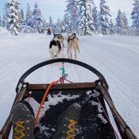 Traineau à chiens et aurores boréales