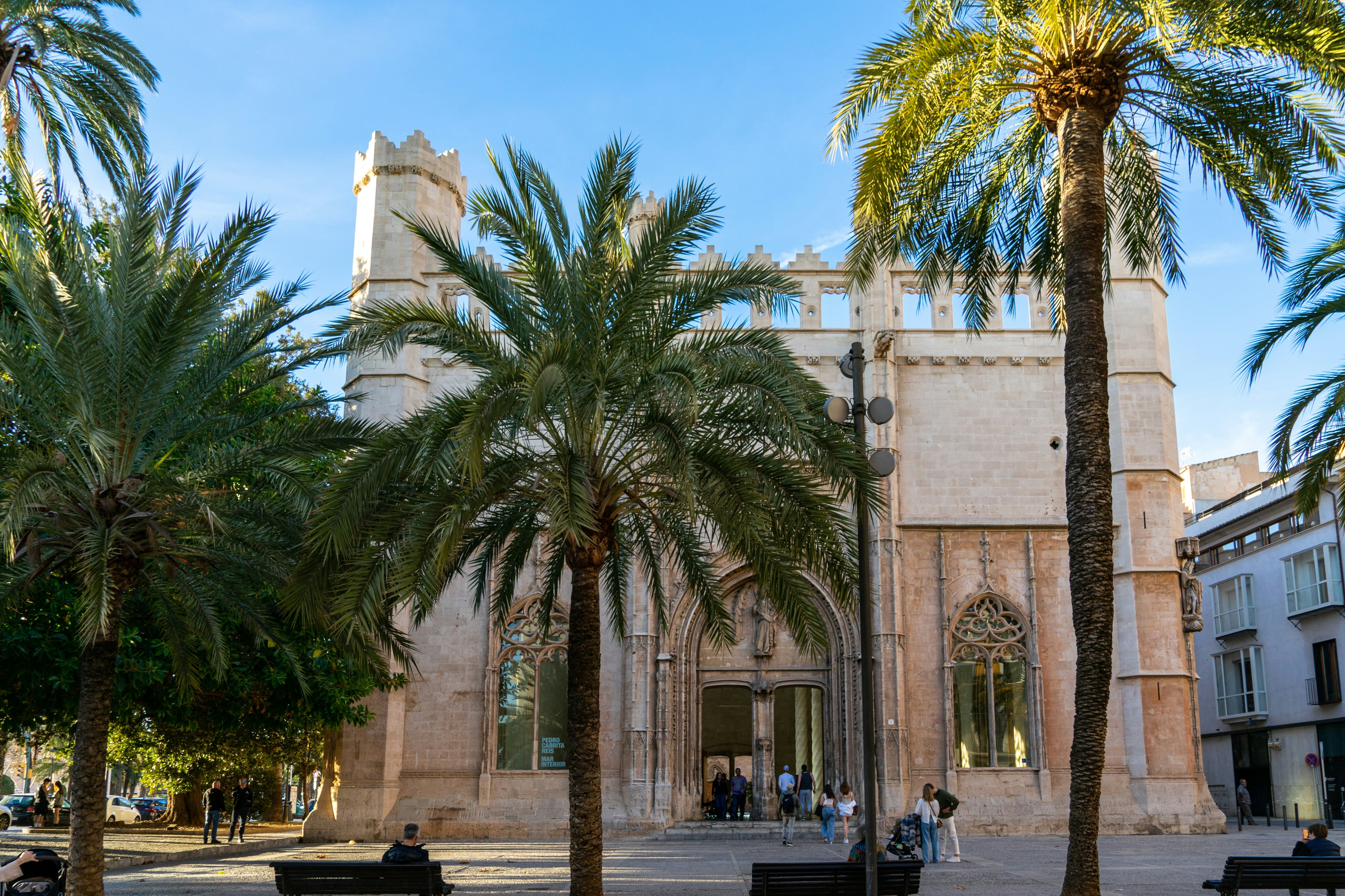 Palma : vol retour 