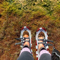 Pärnu - Parc National de Sooma - Tallinn