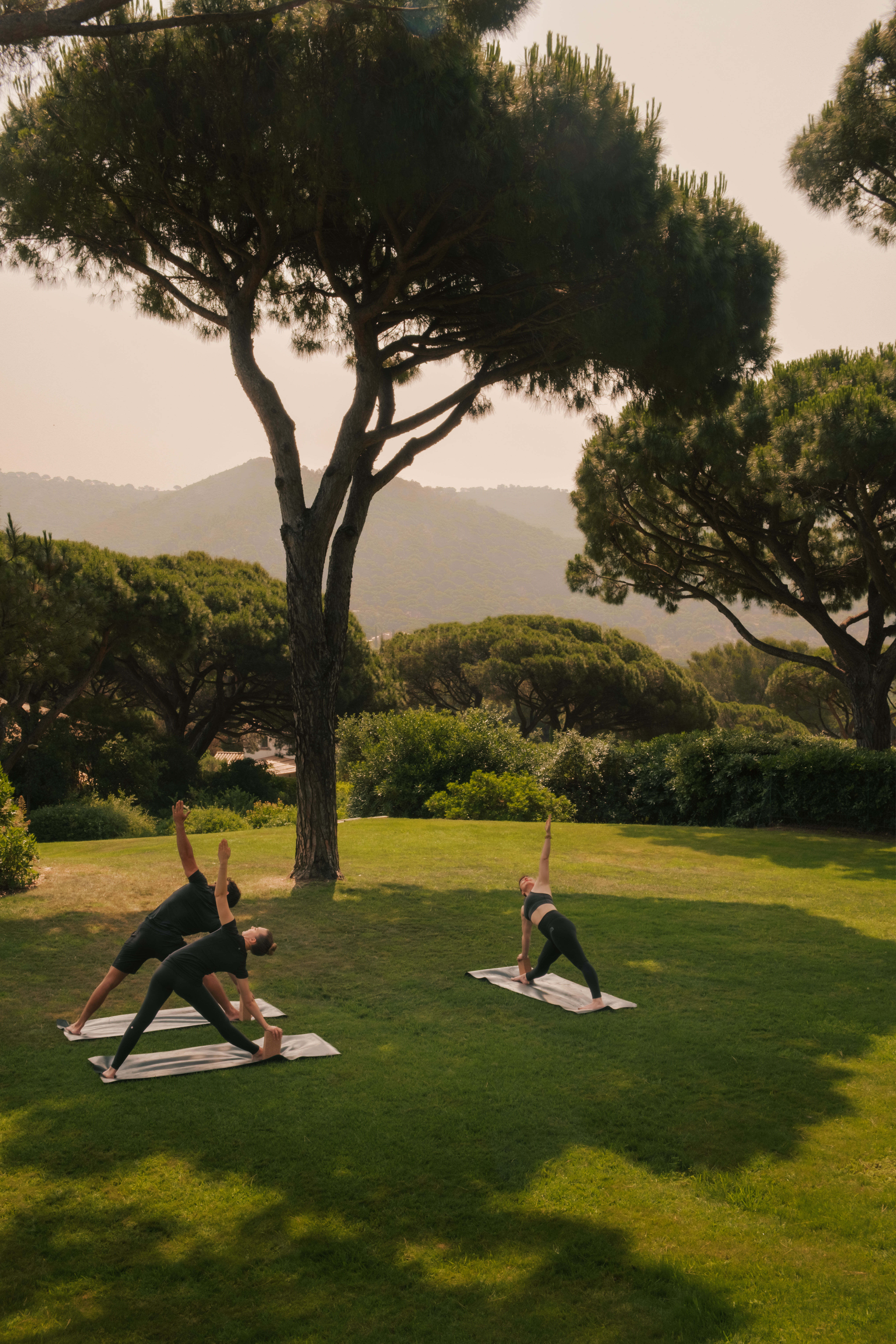 Bienvenue à Lily of the Valley