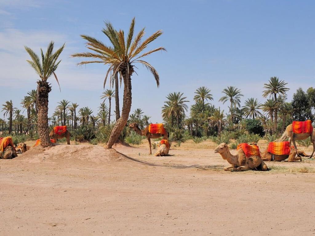 Marrakech – Journée libre