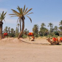 Marrakech – Journée libre