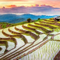 Sapa : randonnées dans les rizières, cascade et villages Hmong