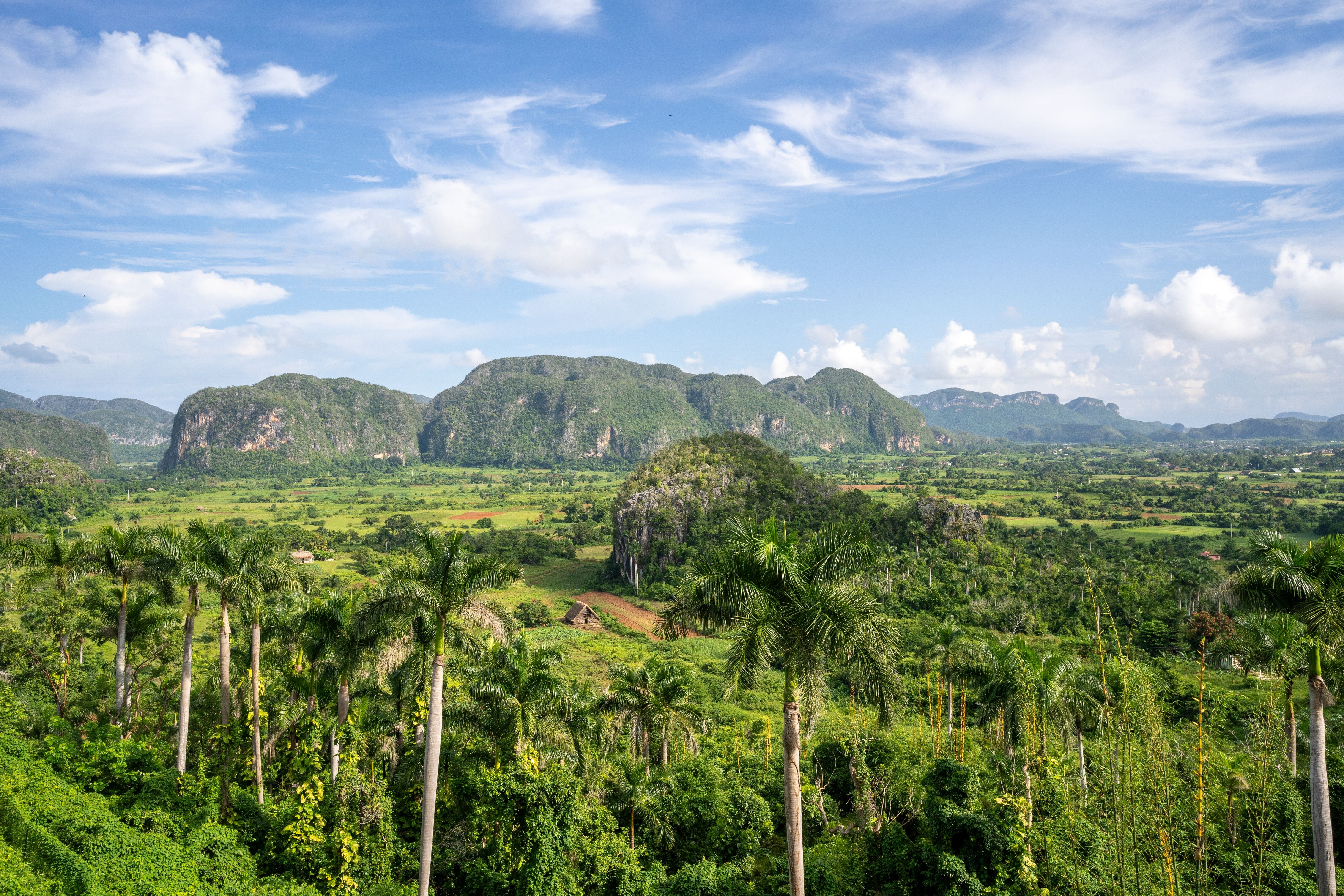 Excursion à Viñales 
