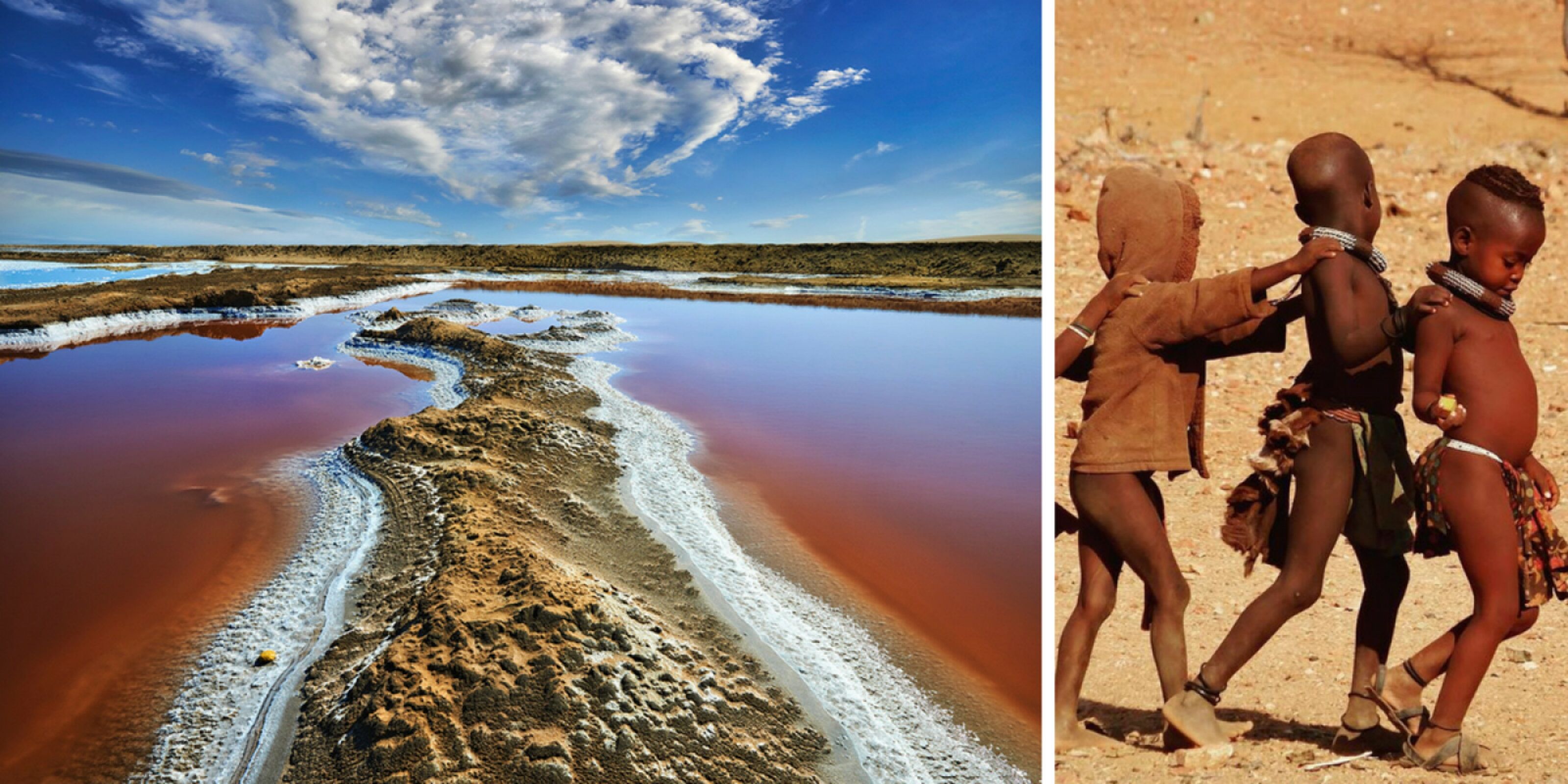 Découverte de la baie des baleines