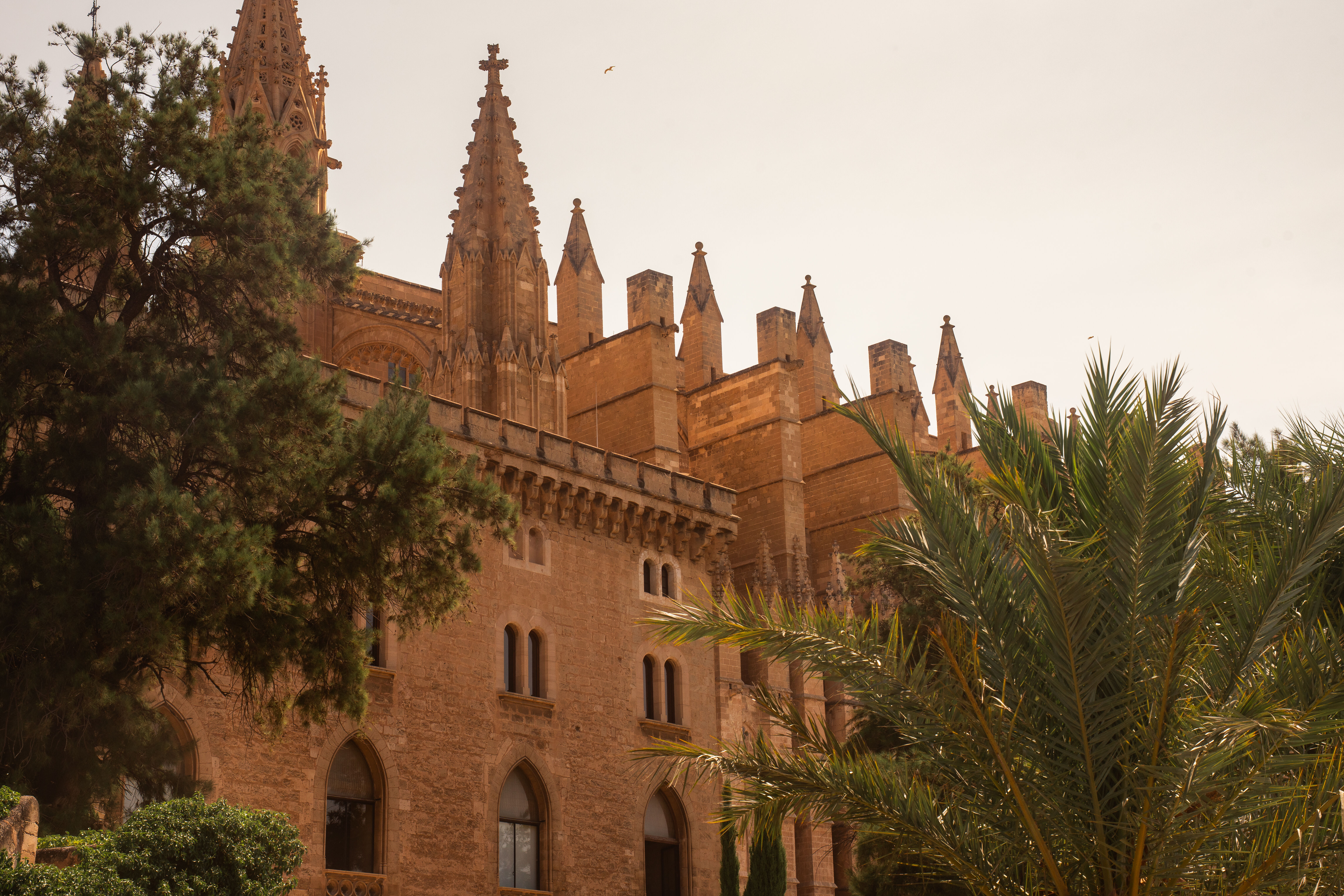 Palma de Majorque : vol retour