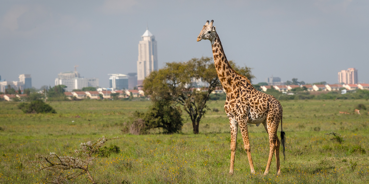 Vol pour Nairobi 