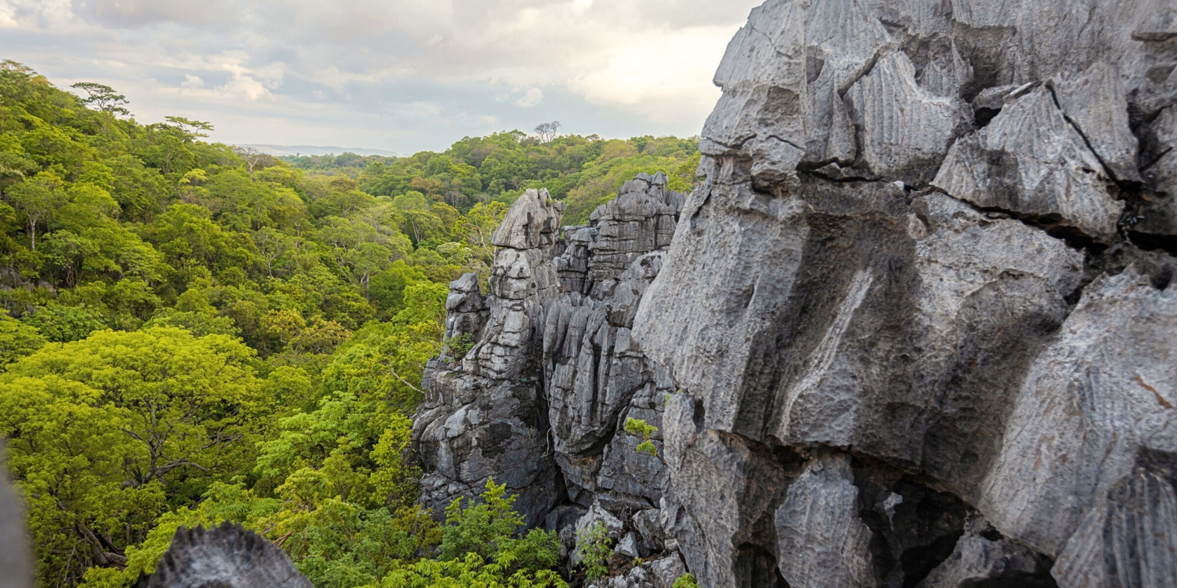 Ankarana : les Tsingy d’Ankarana