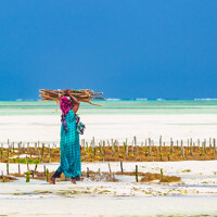 Rencontre avec des femmes de Zanzibar