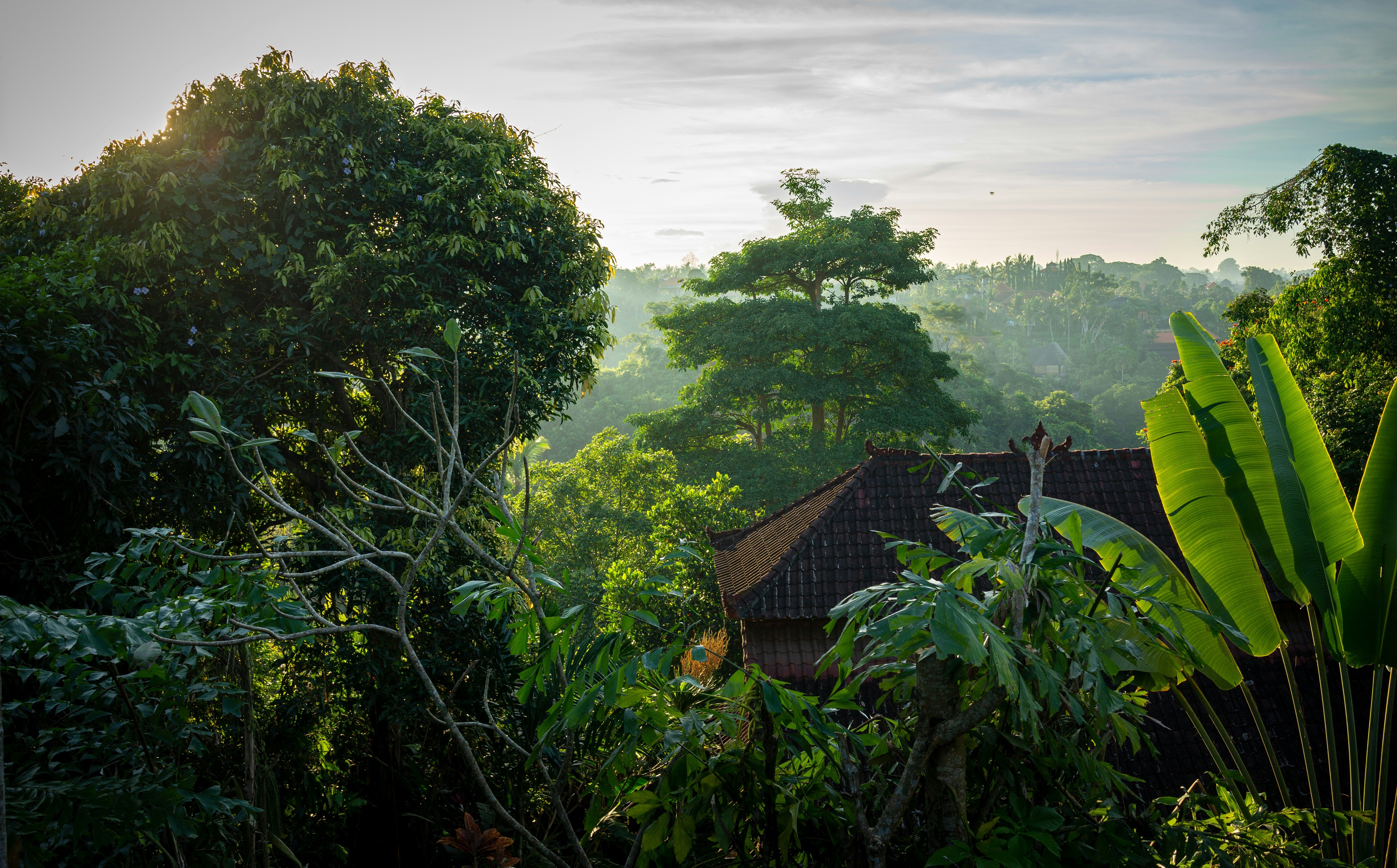 Vol pour Bali