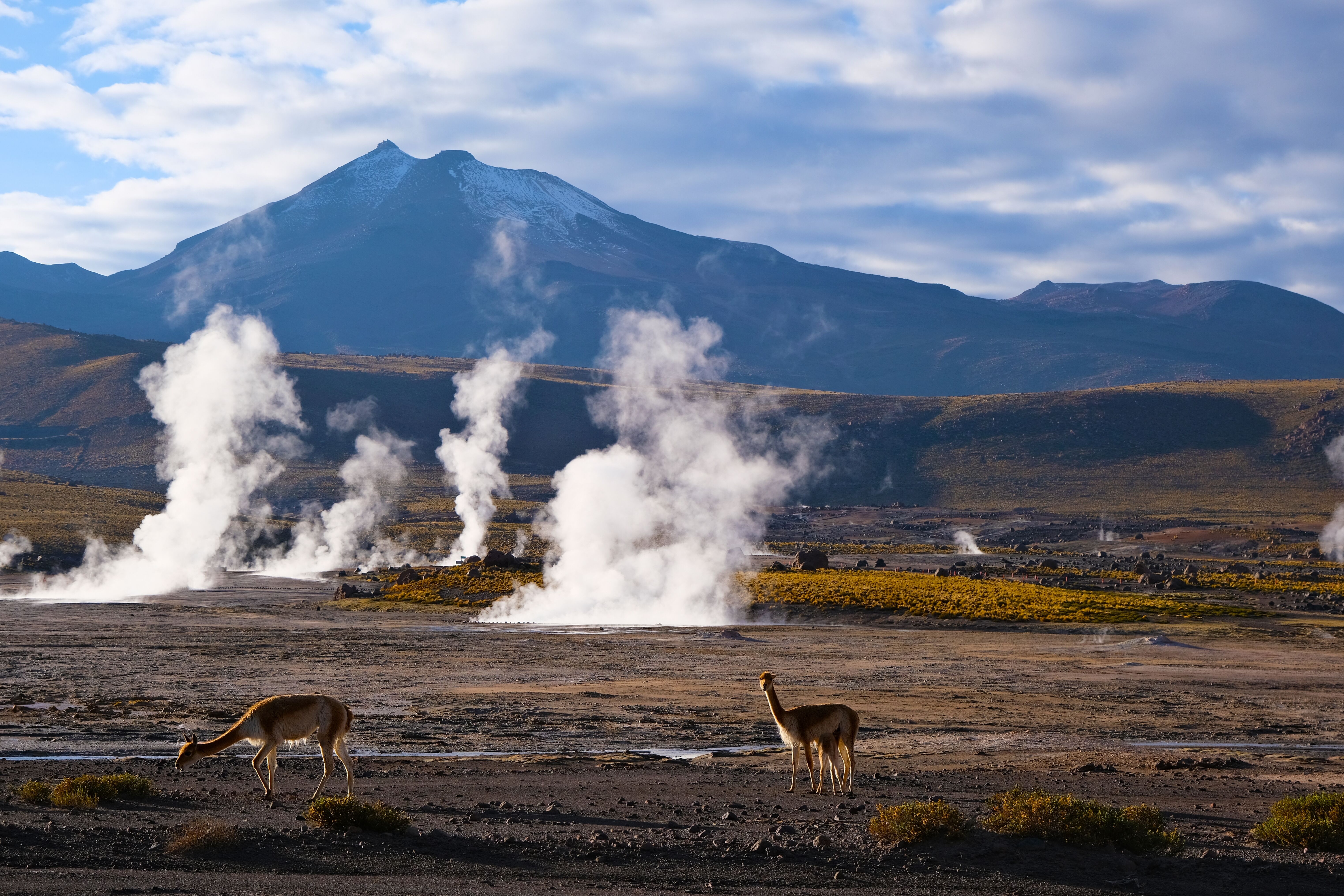 San Pedro de Atacama : geysers del Tatio 