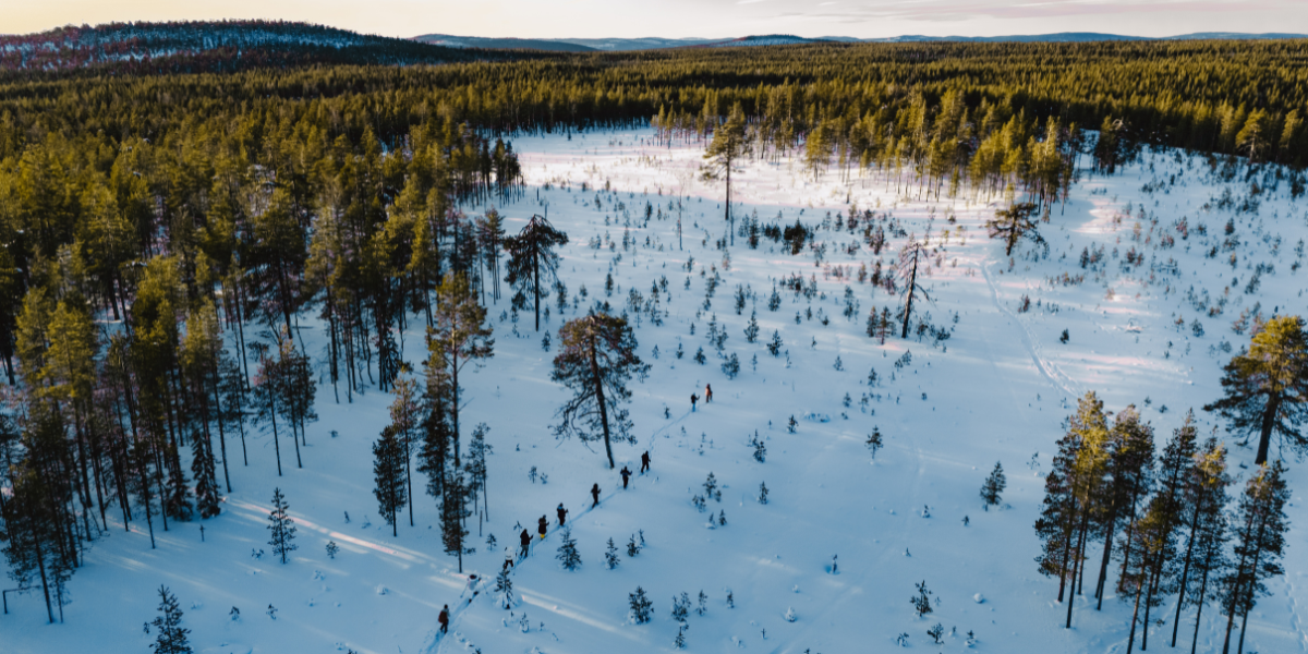 Ylläsjärvi -  Randonnée en raquettes dans le parc national Pallas-Ylläs