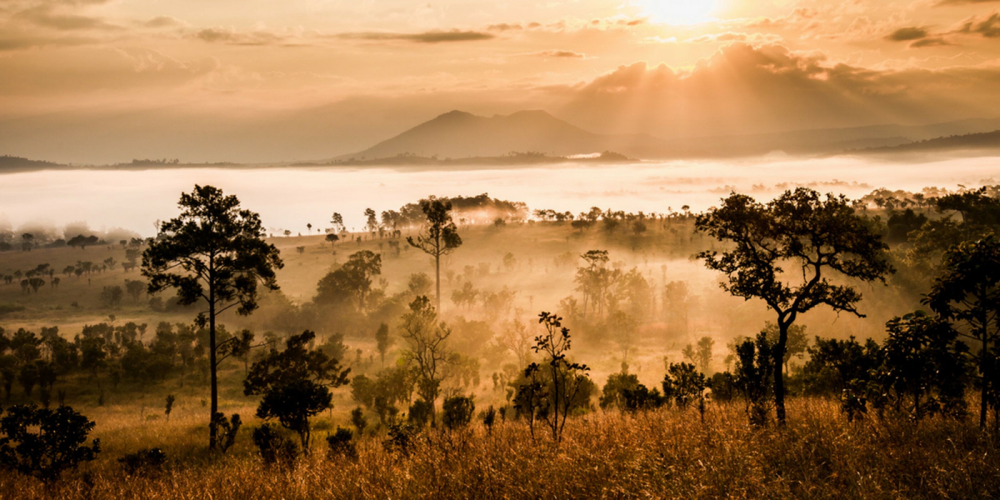 Arrivée à l'aéroport International du Kilimanjaro