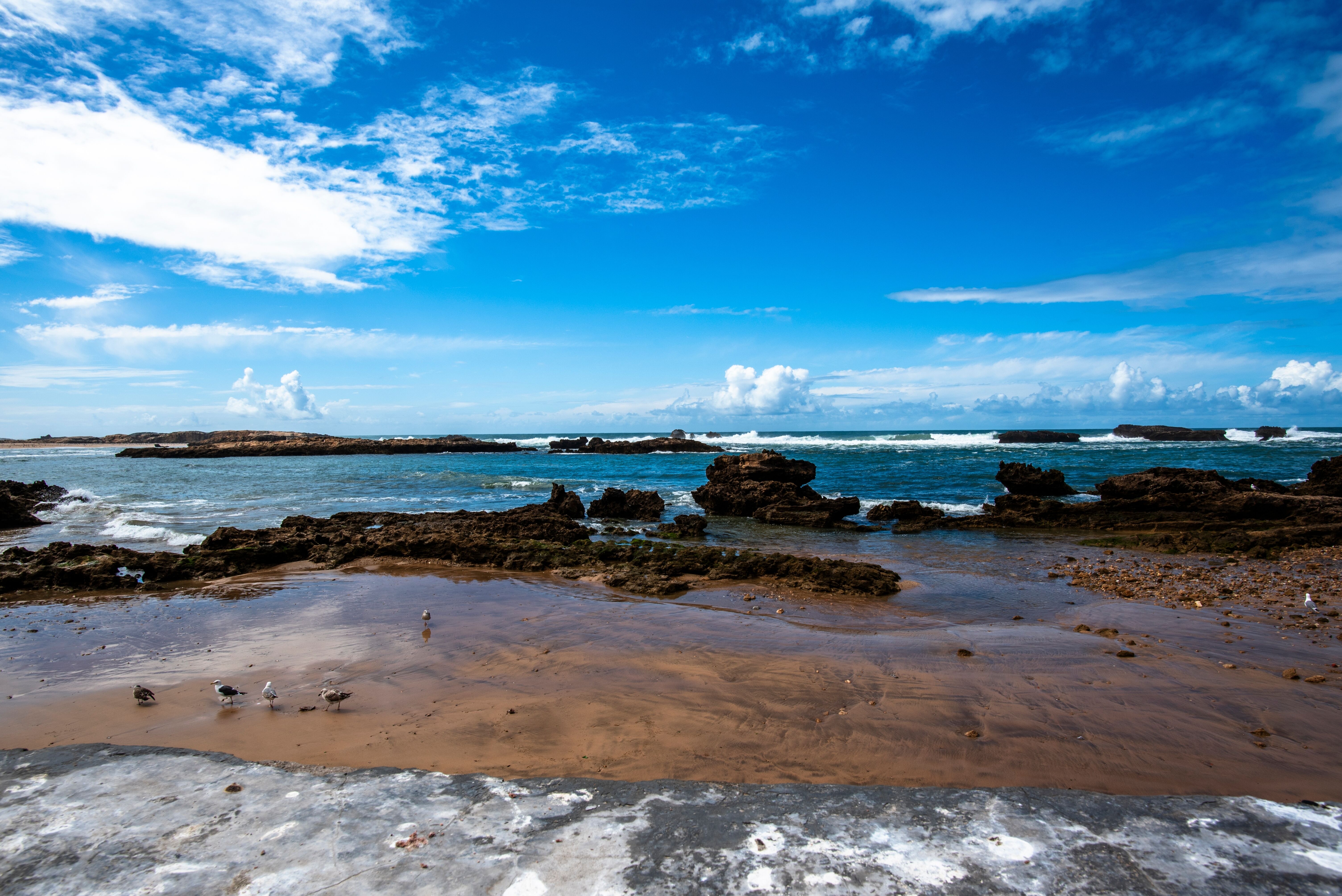 Essaouira en fat bike