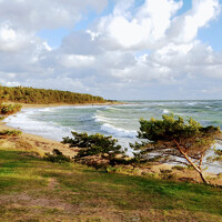 Haapsalu - Hiiumaa - Haapsalu