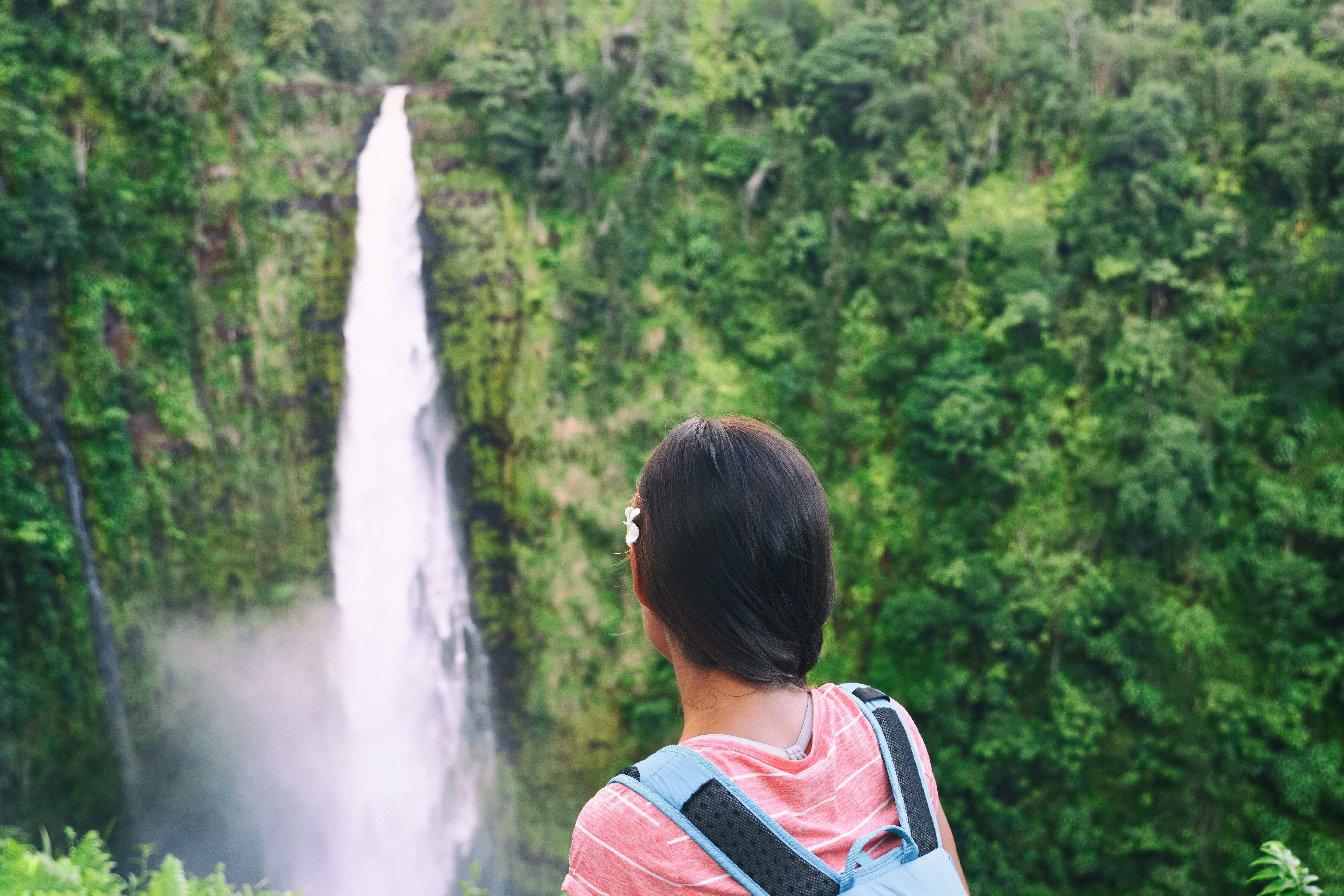 Onomea Bay - Akaka Falls - Rainbow Falls 
