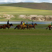 Randonnée à cheval