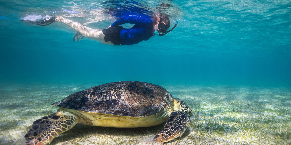 Farniente sur Nosy Iranja, l'île aux tortues