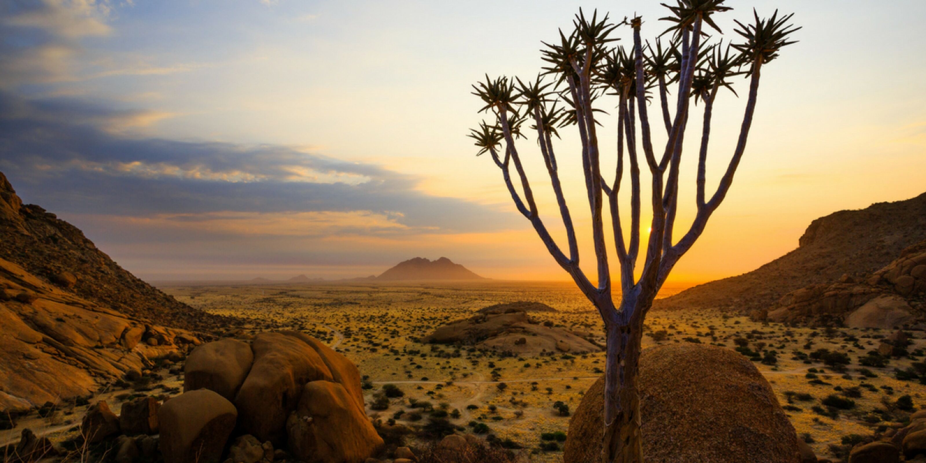 Bon retour chez vous !