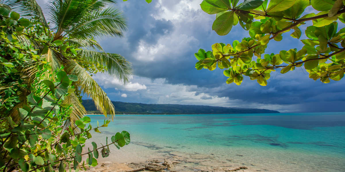 Journée en bateau au Parc National de Los Haïtises ! 