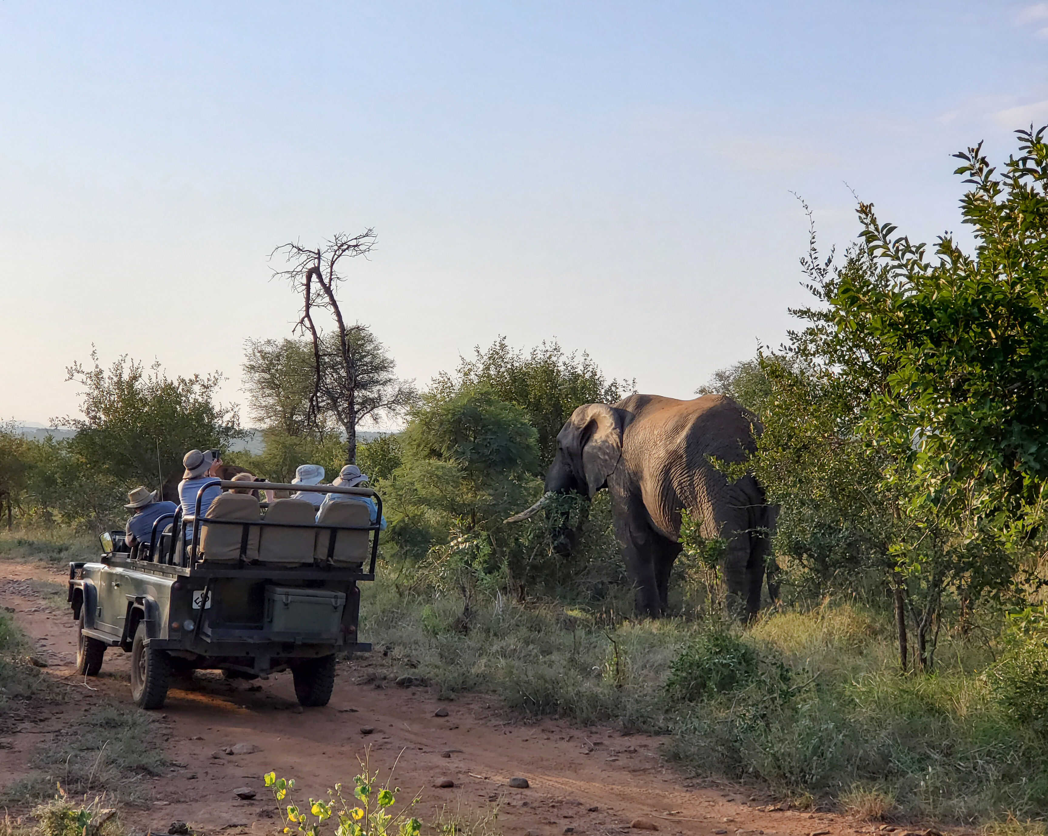 Kruger - Karongwe  