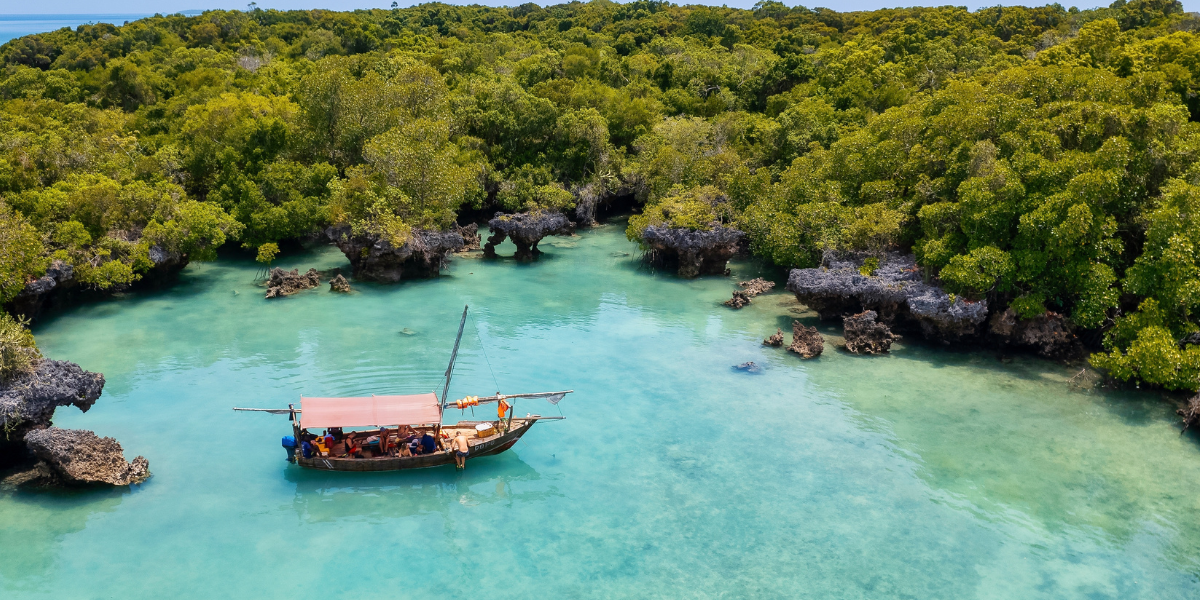 Safari Blue : direction l'île de Kwale 