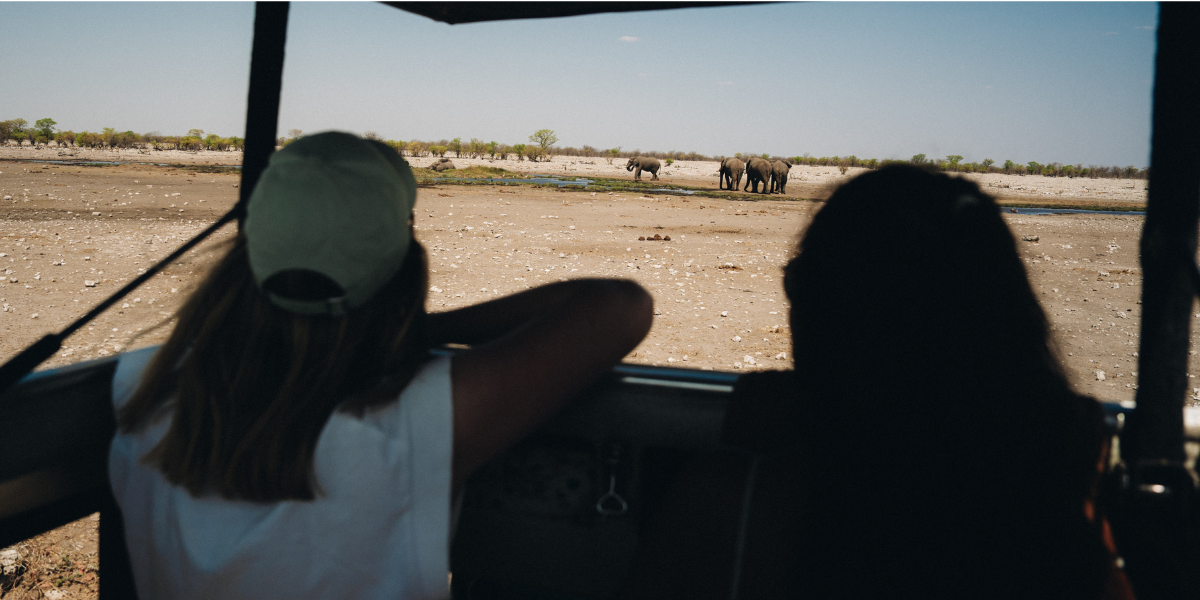 Otjiwarongo - Parc d'Etosha 