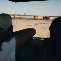 En route pour le Parc national d’Etosha