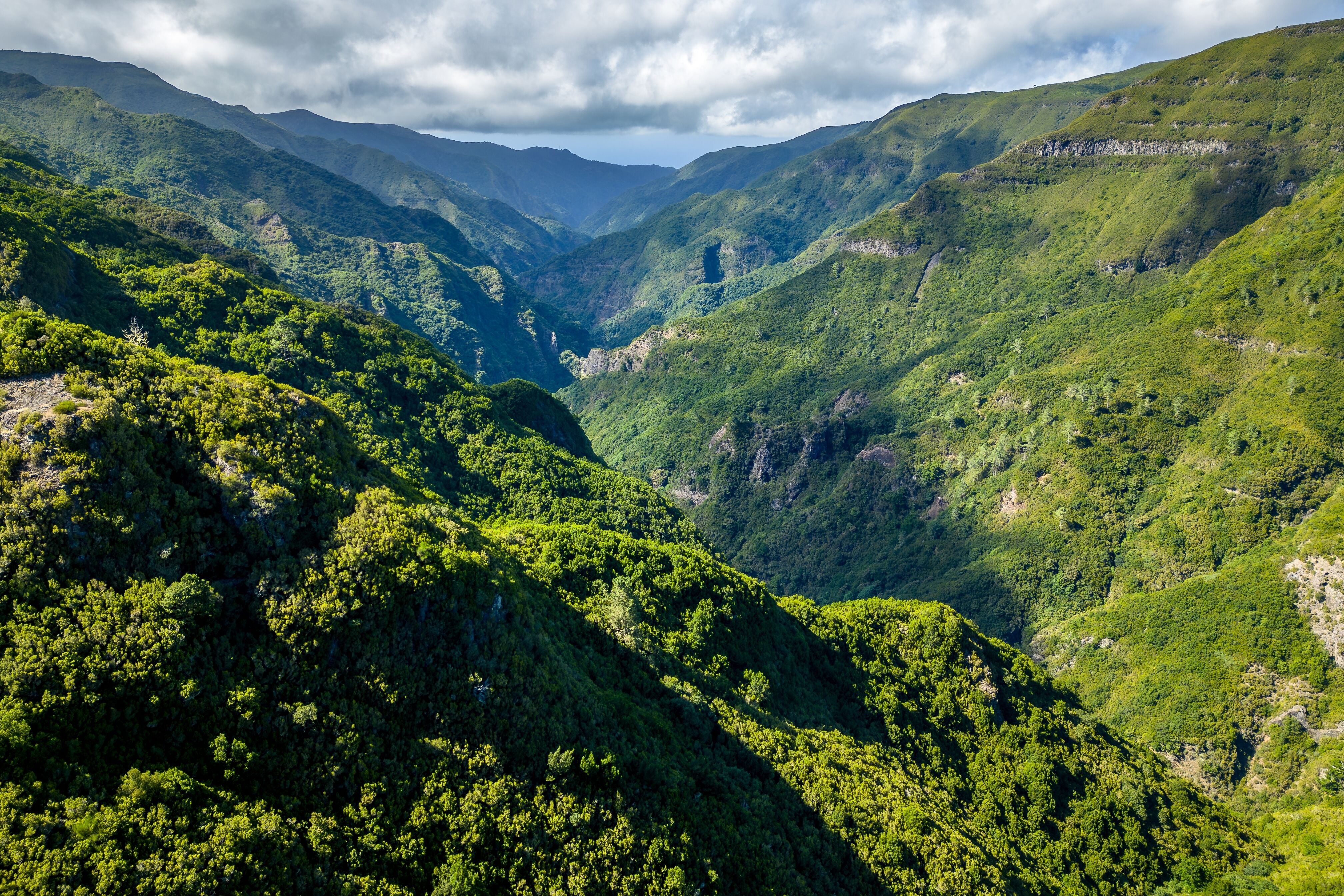 Randonnée entre forêts et des cascades