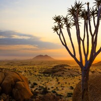 Retour à Windhoek
