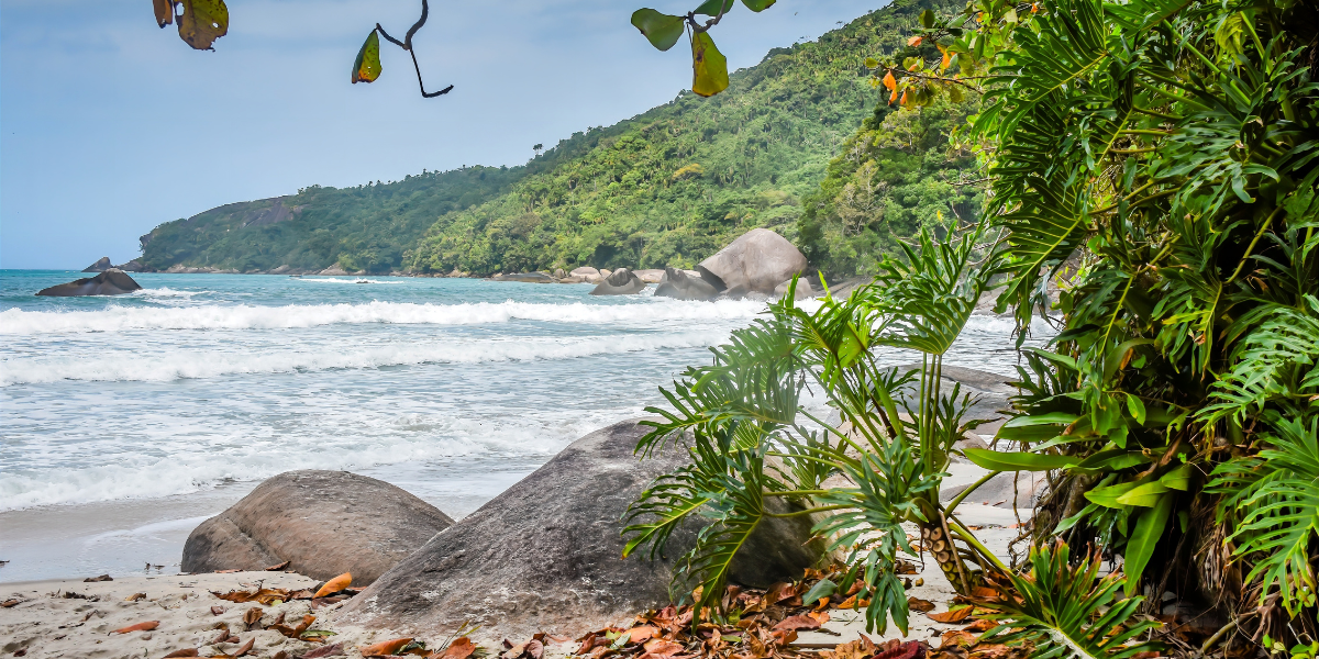 Paraty : Cascades, distillerie et plages 